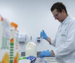 <i>La instalación de paneles solares en la Planta de Bebidas y otras instalaciones, como parte de su transición hacia energías limpias. FOTO CORTESÍA / E&amp;N</i>