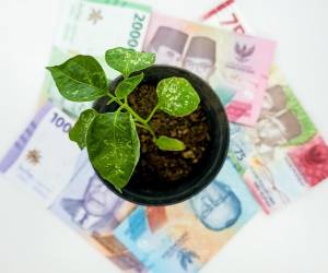 “Sin métricas confiables, la biodiversidad no es financiable: el desafío no es protegerla, sino aprender a medir su valor real.”, afirma el autor de este análisis. (Foto: Shutterstock)