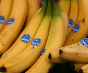 Chiquita vuelve a Panamá y contratará 3.000 personas para reiniciar operaciones