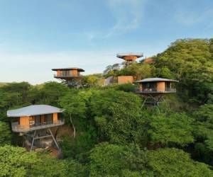 Entre árboles y líneas puras: el lenguaje arquitectónico de Suitree en Guanacaste