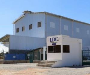 Louis Dreyfus Company inaugura planta de secado de café en Honduras