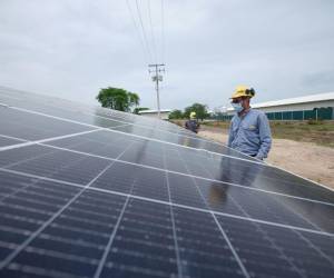 Sostenibilidad transversal: El modelo de Cargill para cadenas de suministro seguras en Centroamérica