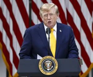 <i>“No quiero nada canadiense. Nos han estado estafando durante décadas, y eso se va a acabar”, declaró Trump. (Foto: EFE)</i>