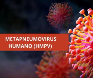 <i>El HMPV es un virus común que circula entre las personas en invierno y primavera. FOTO ELABORACIÓN E&amp;N</i>