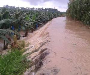 El temporal de mediados de año afectó todo tipo de actividades y productos, en especial banano, piña, ganadería de leche y carne, plátano, papaya, yuca y ñame. (Foto: Semanario Universidad).