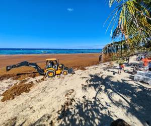 <i>Las autoridades locales estiman que los trabajos de limpieza, ejecutados mediante una alianza público-privada, se prolongarán entre tres y cuatro días más antes de que la playa sea rehabilitada al público. Foto de cortesía</i>