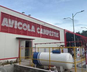 La planta está diseñada para una producción anual de hasta 23 millones de pollos recién nacidos que nos permite cumplir con el crecimiento de los próximos 5 años. Foto cortesía