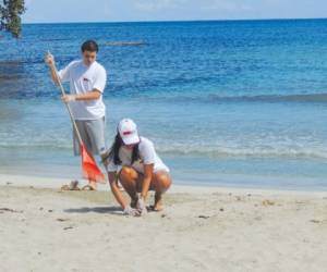 El Programa de Gestión Ambiental Institucional busca disminuir y mitigar la huella ambiental.