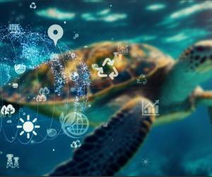 <i> El Blue Atlantic Forum, compilando principios de la WWF, insiste en que la economía azul sostenible debe ser holística, intersectorial y de largo plazo. FOTO REFERENCIA / E&amp;N</i>