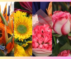 <i>Esta celebración representa una de las temporadas más significativas para los productores y exportadores de flores guatemaltecos. FOTO E&amp;N</i>