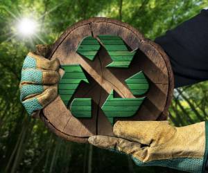 <i>FOTO SHUTTERSTOCK</i>