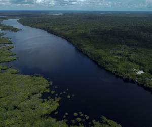 <i>FOTO Vista aérea de la Reserva Extractiva Unini durante una expedición organizada por el Ministerio de Medio Ambiente de Brasil al Mosaico del Bajo Río Negro, Estado de Amazonas, Brasil, el 9 de julio de 2023. El Mosaico del Bajo Río Negro es un área protegida del estado de Amazonas que cubre once unidades de conservación en seis municipios diferentes.MICHAEL DANTAS / AFP</i>