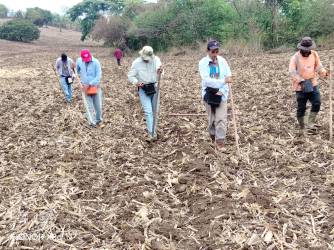 <i>El presidente de la Asociación Cámara Salvadoreña de Pequeños y Medianos Productores Agropecuarios (CAMPO), Luis Treminio, señaló que cerca de 6,9 millones de quintales de maíz, frijol y sorgo o el 100 % de la siembra de agosto y septiembre, estarían en riesgo como consecuencia de la sequía. Foto de cortesía</i>