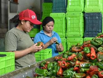 Walmart de México y Centroamérica impulsa una cadena de suministro sostenible y ética