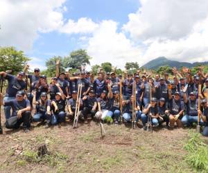 ISKALI es una iniciativa de intervención integral de recuperación en la zona del volcán de San Salvador.
