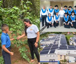 Grupo Melo: Modelo ASG que conecta personas, eficiencia y gestión responsable