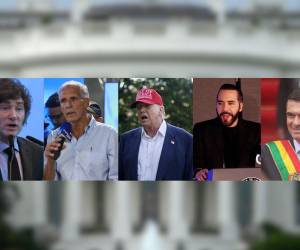 <i> La cita sería este próximo 7 de marzo, en Miami. FOTO E&amp;N</i>