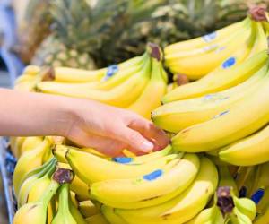 Gobierno de Panamá se reunirá con 'altos ejecutivos' de bananera Chiquita
