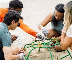 Peninsula Papagayo impulsa un modelo de turismo sostenible que genera valor para Costa Rica y sus comunidades