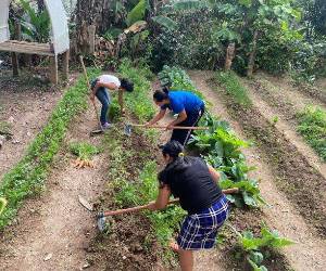 <i>El plan busca impulsar inversiones que generen resultados sostenibles para Honduras y convertir los recursos destinados al sector agroalimentario en una herramienta para transformar las condiciones de las familias rurales. Foto de cortesía</i>