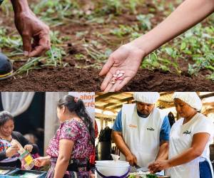 Modelo de crecimiento con impacto sostenible