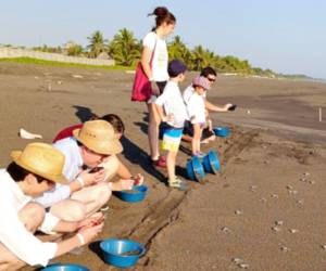 Bam celebra los primeros logros de la iniciativa “La Cuenta del Mar”