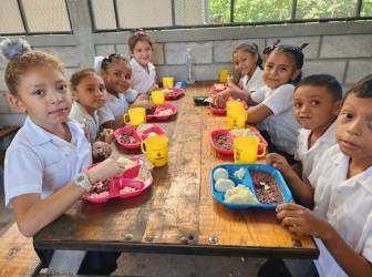 <i>Honduras volverá a acceder a fondos del Departamento de Agricultura de Estados Unidos (USDA, en inglés), por un monto de US$40 millones. Foto de cortesía</i>