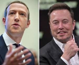 Mark Zuckerberg cancela el combate en jaula de Elon Musk