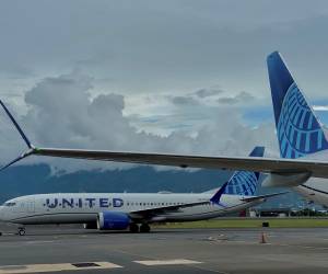 Esta reactivación de los destinos en Estados Unidos y el aumento del servicio es la respuesta de United Airlines a la temporada alta. FOTO