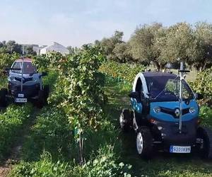 Detectar plagas y problemas de riego o aplicar tratamientos fitosanitarios selectivos, algunas de las tareas que los robots y vehículos autónomos pueden asumir para que la agricultura sea más tecnológica y rentable. EFE/ Centro De Automática Y Robótica (CAR), Centro Mixto Del CSIC Y La Universidad Politécnica De Madrid
