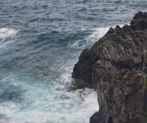 <i>FOTO DEL LUGAR DONDE SE LLEVAN A CABO LAS LABORES DE INVESTIGACIÓN. </i>