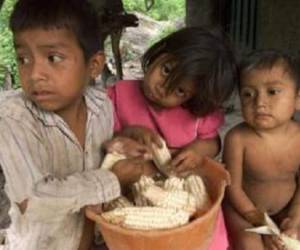 Guatemala cerró el 2015 con 14.380 casos de desnutrición aguda y 160 muertes. (Foto: Archivo)