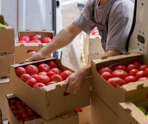 <i>FOTO SHUTTERSTOCK</i>