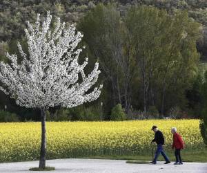 <i>Junto a la covid-19, la tuberculosis también sale de la lista de 10 principales causas de muerte, donde sí estaba en 2021. (Foto: EFE)</i>