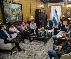<i>La reunión con representantes del sector productor e industrial de palma africana fue liderada por el Secretario de Estado en el Despacho de la Presidencia, Juan Carlos García. Foto de cortesía</i>
