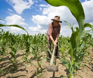 FAO llama a la integración para fortalecer la agricultura familiar en Latinoamérica