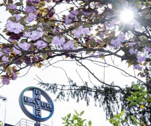 <i>ARCHIVO E&amp;N</i>