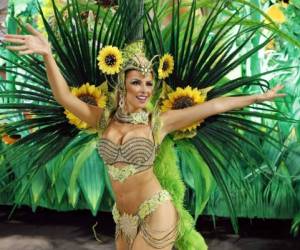 A reveller from the Vila Isabel samba school participates in the annual Carnival parade in Rio de Janeiro's Sambadrome February 12, 2013. REUTERS/Sergio Moraes (BRAZIL - Tags: SOCIETY)