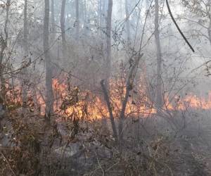 <i>Incendio Forestal en la reserva natural El Orégano, entrada Copán. Foto Bomberos Honduras</i>