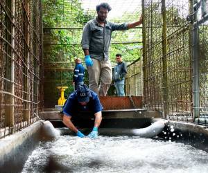 <i>Representantes de la UCR toman muestras del agua reportada como contaminada. La crisis lleva dos semanas. FOTO UCR</i>