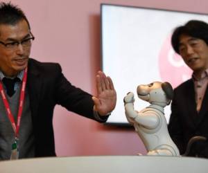 Sony lanó órdenes de precompra para 'Aibo'. / AFP PHOTO / Kazuhiro NOGI