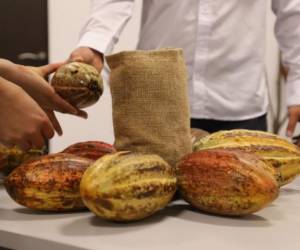 Guatemala dice presente en el Cacao of Excellence Awards 2023