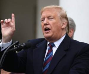 US President Donald Trump speaks at a press conference in the Rose Garden of the White House in Washington, DC, on January 4, 2019. - Trump met with congressional leaders as the government shutdown continues. (Photo by Alex Edelman / AFP)