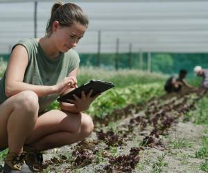<i>Valonia cuenta con empresas, universidades y centros de investigación que trabajan en alternativas para proteger cultivos, preservar suelos y biodiversidad. (Foto: Archivo)</i>