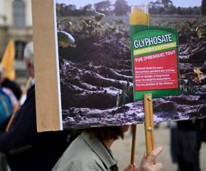 <i>Una persona sostiene una pancarta durante una reunión junto a la Maison de l'Europe en Rennes, oeste de Francia, para protestar contra la autorización de herbicidas a base de glifosato cuya extensión de diez años los estados miembros de la Unión Europea están debatiendo, el 12 de octubre de 2023. Damián MEYER / AFP</i>