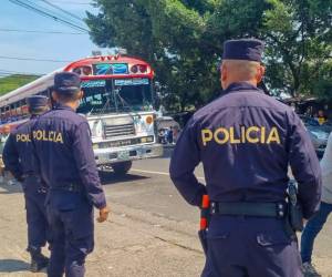 <i>El régimen de excepción cuenta con el respaldo de cerca del 85 % de la población de El Salvador. Foto de cortesía</i>
