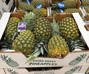 <i>Esta oportunidad para diversificar la oferta exportable de Panamá generará mayores encadenamientos productivos de los productos agrícolas. Foto de cortesía</i>