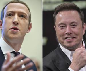 Elon Musk trasmitirá en X su combate de artes marciales con Zuckerberg