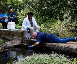<i>Momento en el que se están tomando las muestras de agua para estudiarlos en diversos laboratorios de la Universidad de Costa Rica. FOTO UCR</i>