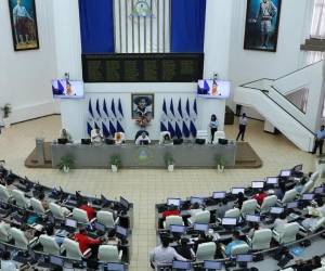 <i><b>Aquí no volverán a haber elecciones para que por allí intenten ellos (oposición) atrapar el Gobierno, atrapar el poder, advirtió Ortega. (Foto: Arcchivo)</b></i>